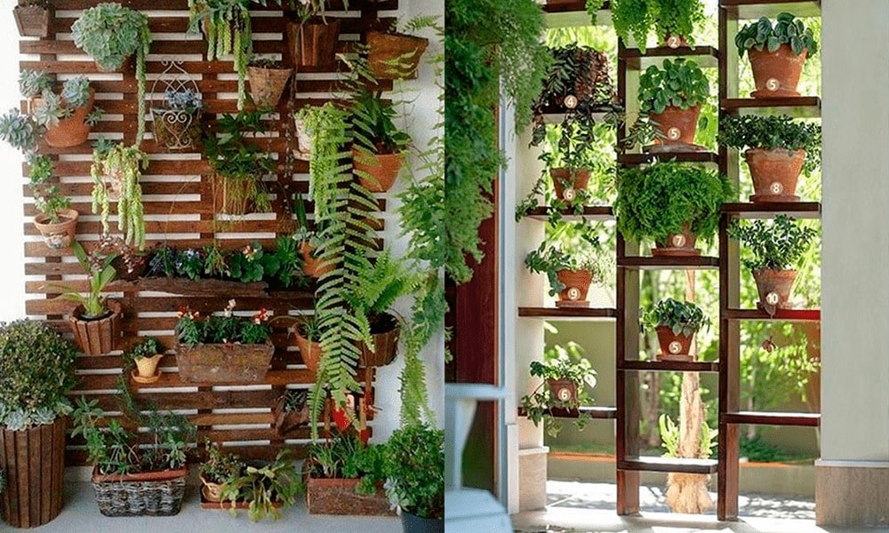 Decorar las paredes con plantas: Jardines verticales