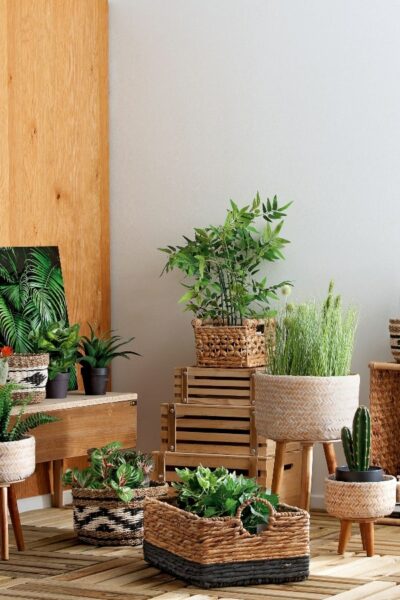 decorar salon con plantas
